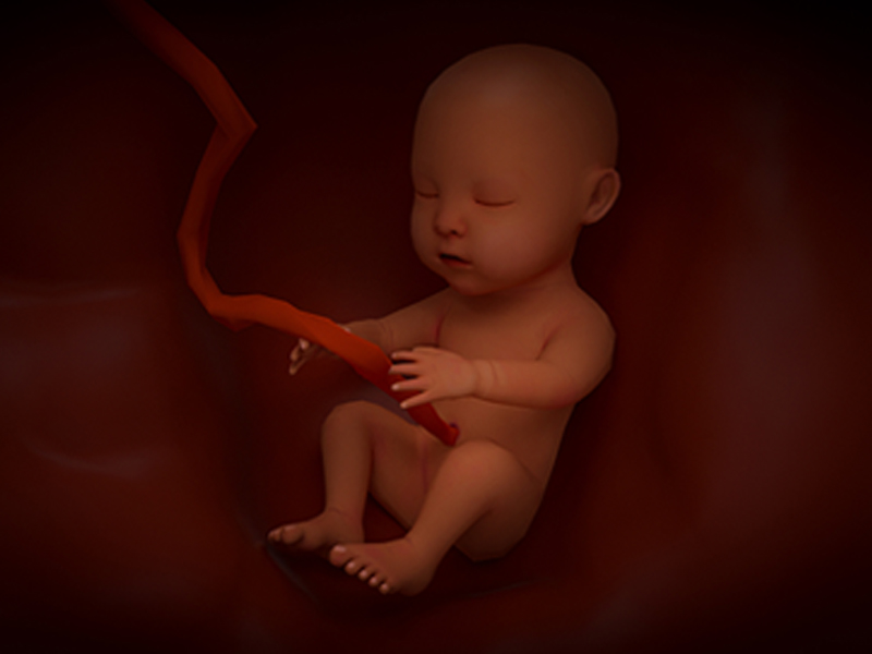 優(yōu)生優(yōu)育檢測